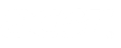 Acer logo