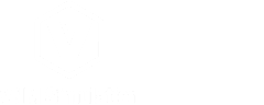 VNM Simulation